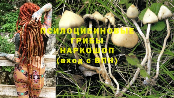 прущая мука Алексеевка